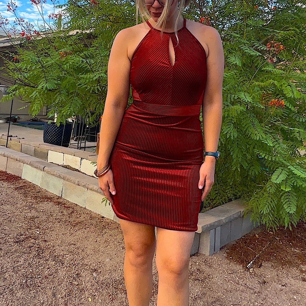 NWT Dynamite Velvet Bodycon Dress